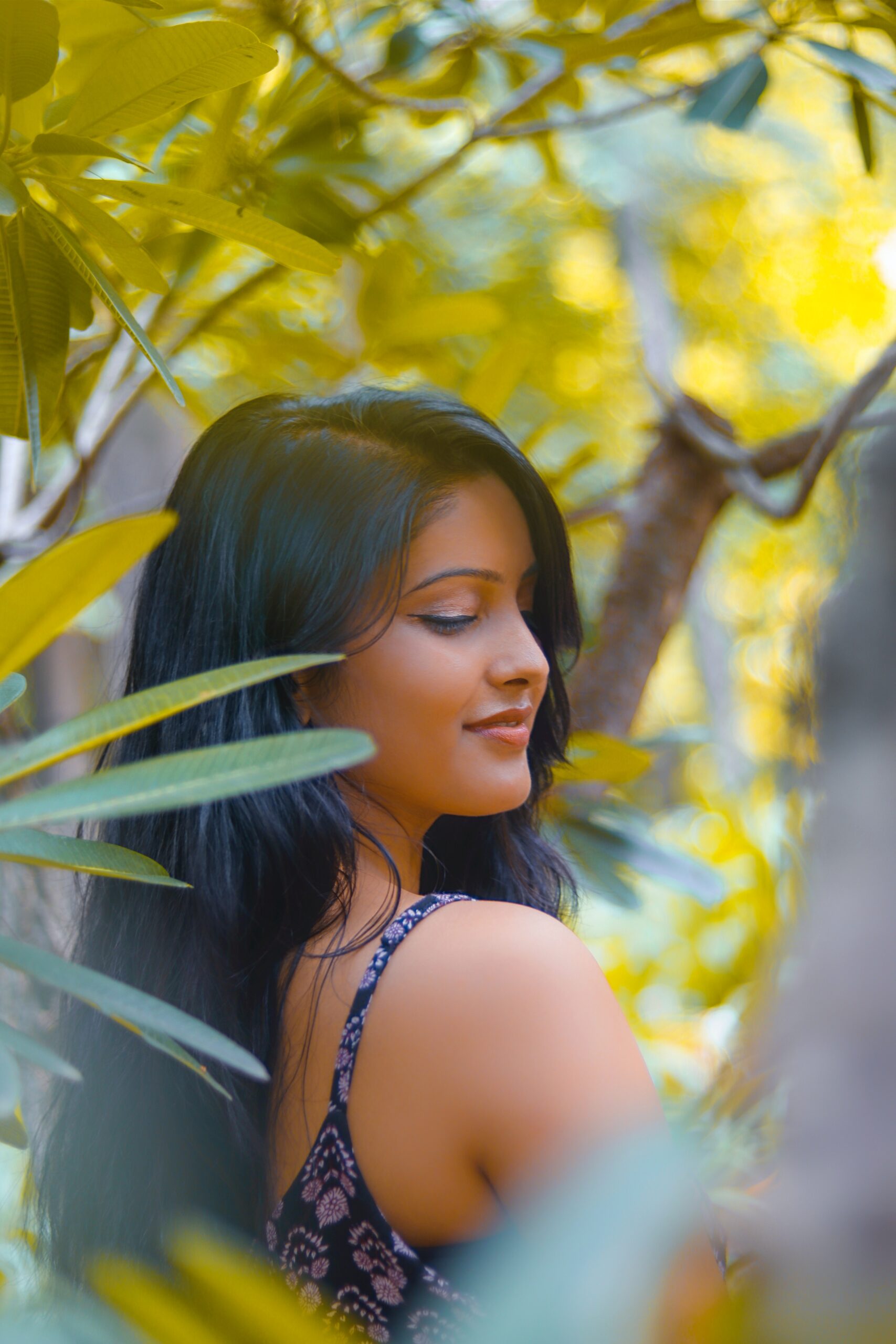 kanchan